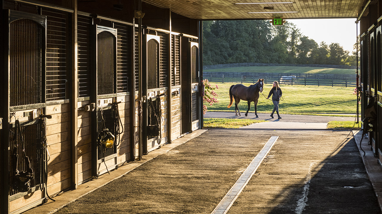 Stables