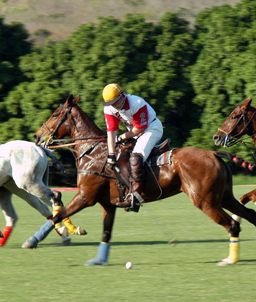 Polo players