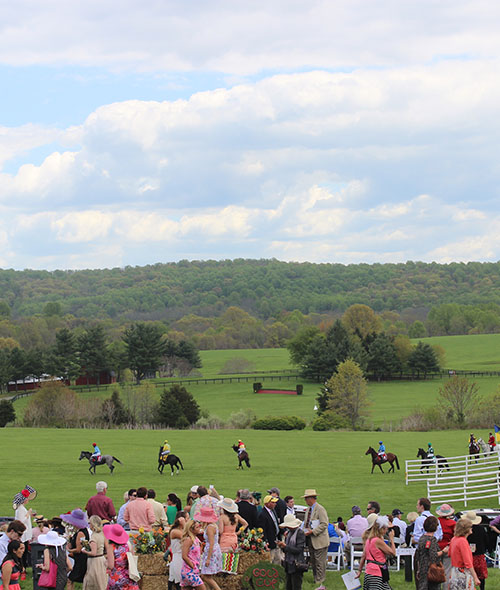 Riders on horses