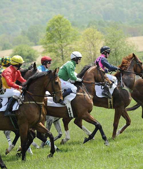 Riders on horses