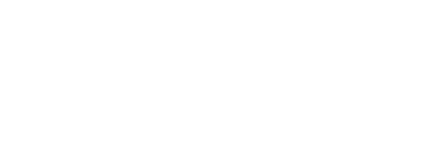 Salamander Collection